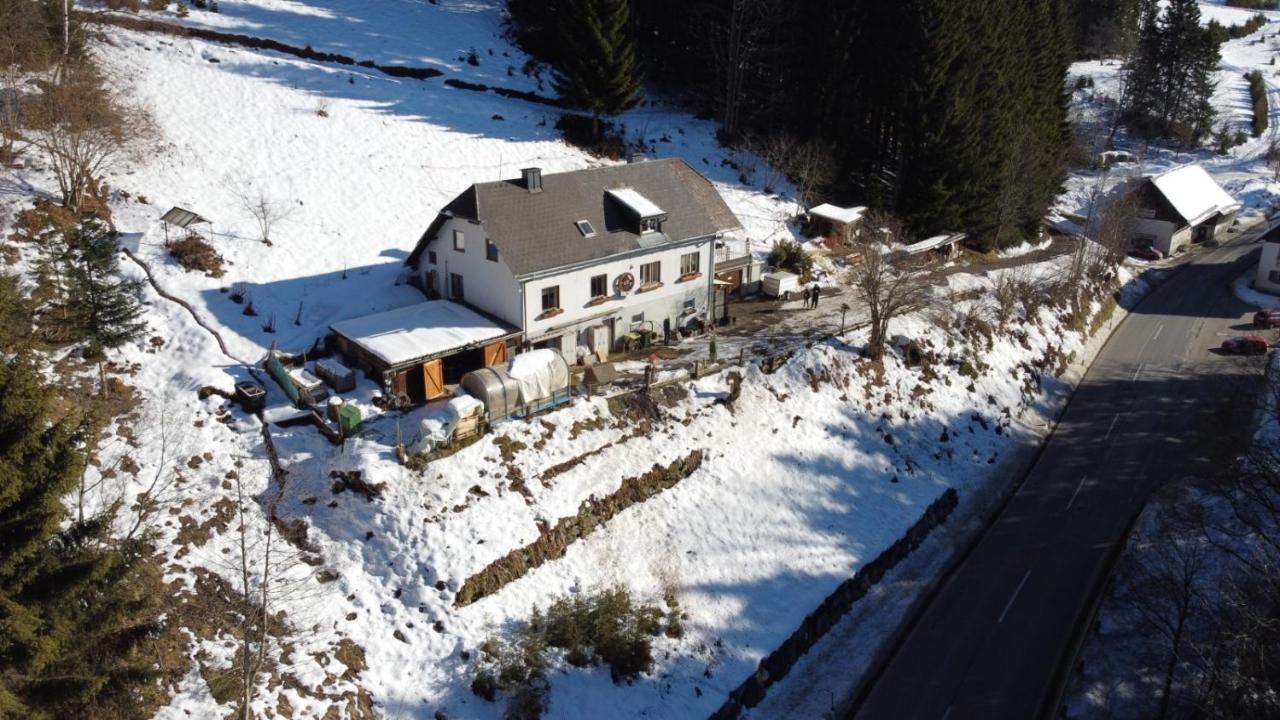 Apartment Peterl Krieglach Esterno foto